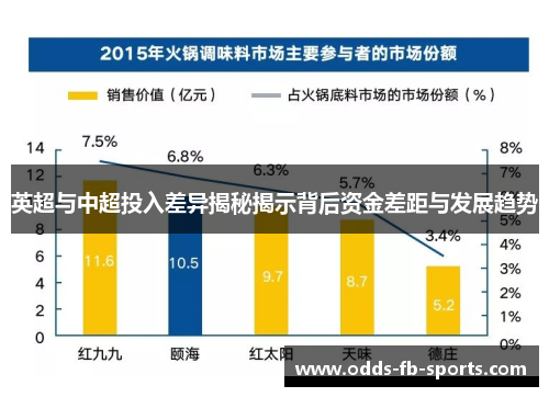 英超与中超投入差异揭秘揭示背后资金差距与发展趋势