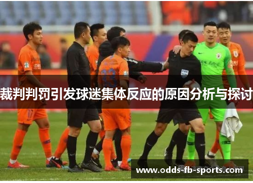 裁判判罚引发球迷集体反应的原因分析与探讨 裁判判罚引发球迷集体反应的原因分析与探讨