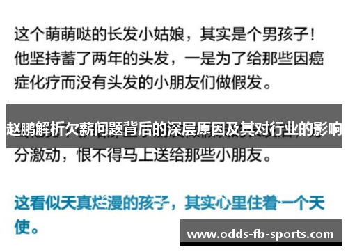 赵鹏解析欠薪问题背后的深层原因及其对行业的影响