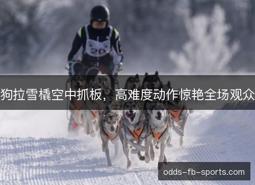 狗拉雪橇空中抓板,高难度动作惊艳全场观众 狗拉雪橇空中抓板,高难度动作惊艳全场观众